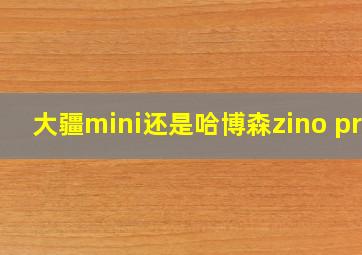 大疆mini还是哈博森zino pro